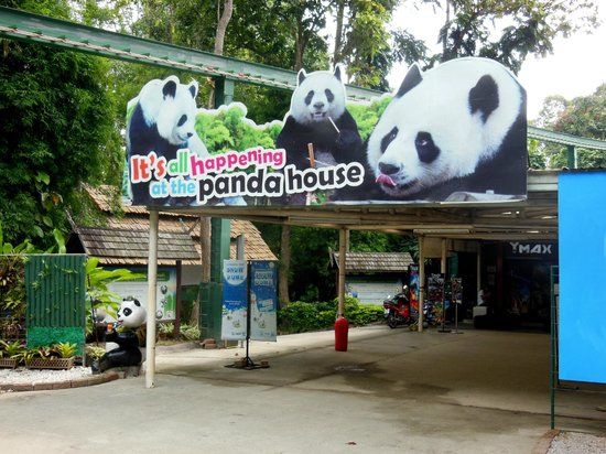 Zoo von Chiang Mai